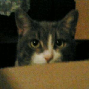 Meet your Posher, Noriko